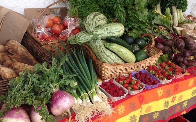 Graze Farmer's Market - Wednesday Mornings